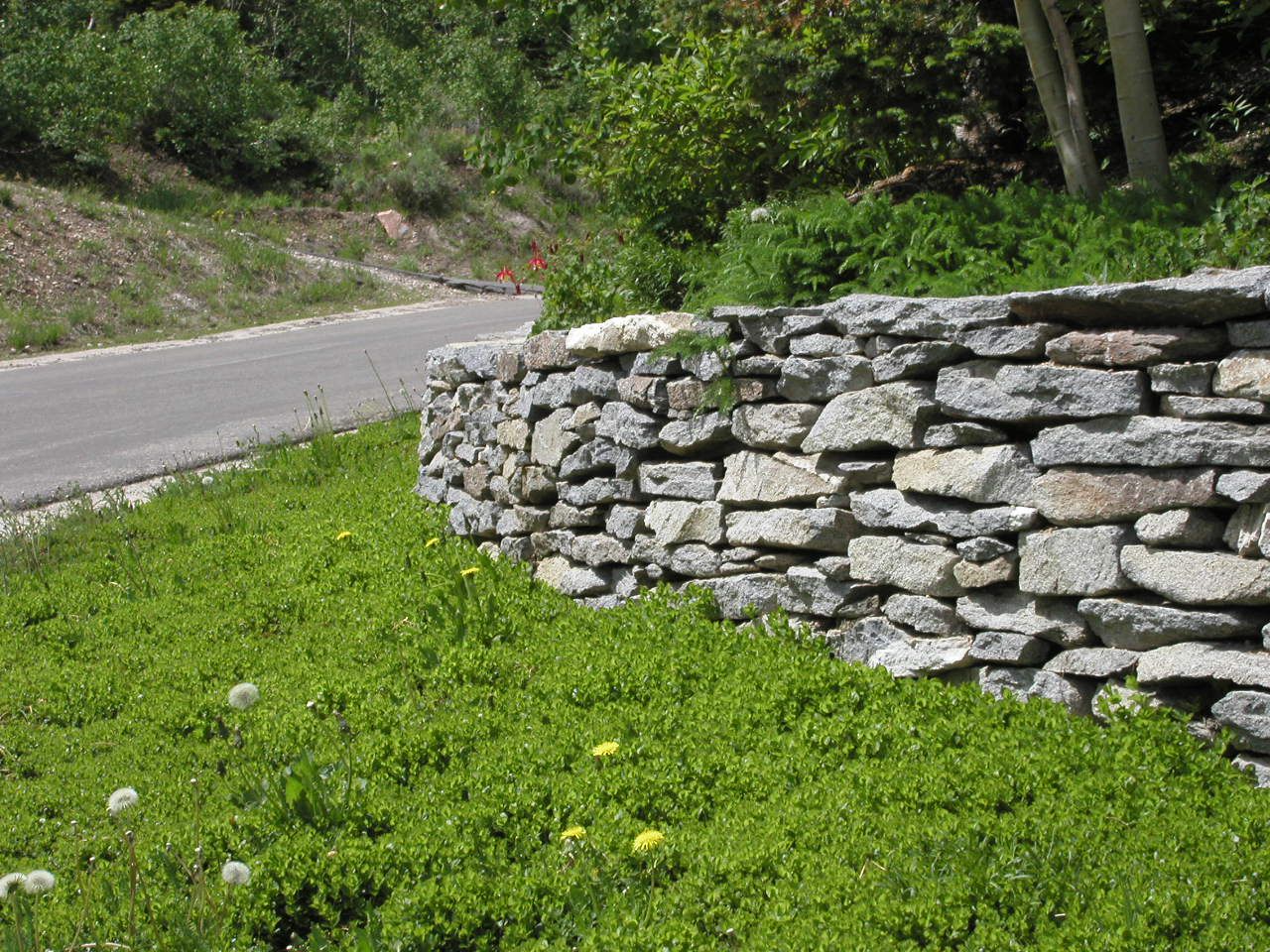 Dry Stacking Stone for retaining walls