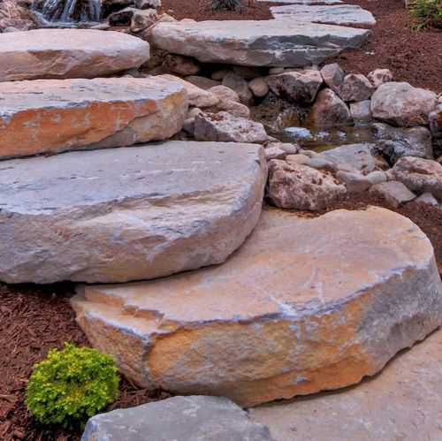 Steps to reduce drought with xeriscape