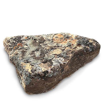 Moss Rock 4" Minus Patio