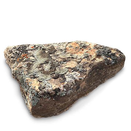 Rustic Moss Dark 4&quot; Minus
