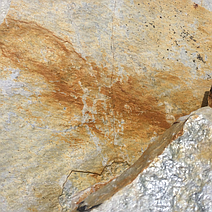 Autumn Gold 6+" Thick x 0-12" Wide Sawn