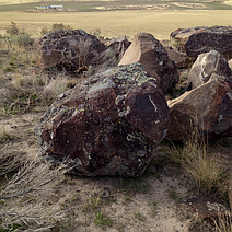 Rattlesnake Moss Boulders 2-3'