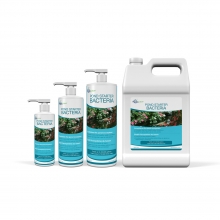 Pond Starter Bacteria 8oz / 236ml