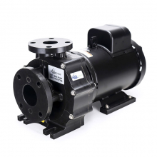 EXT 21300 Pond Pump