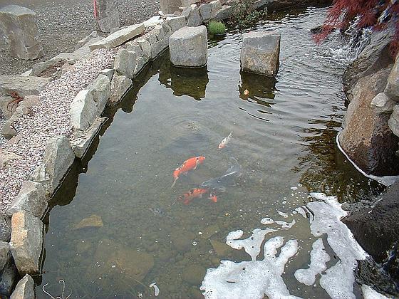 Gorge Basalt Bird Bath Large VC
