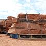 Cherokee 4-6" Natural Steps